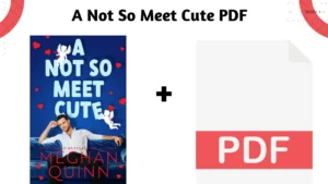 A Not So Meet Cute PDF